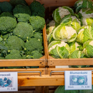 Guggis_Konolfingen_web-033